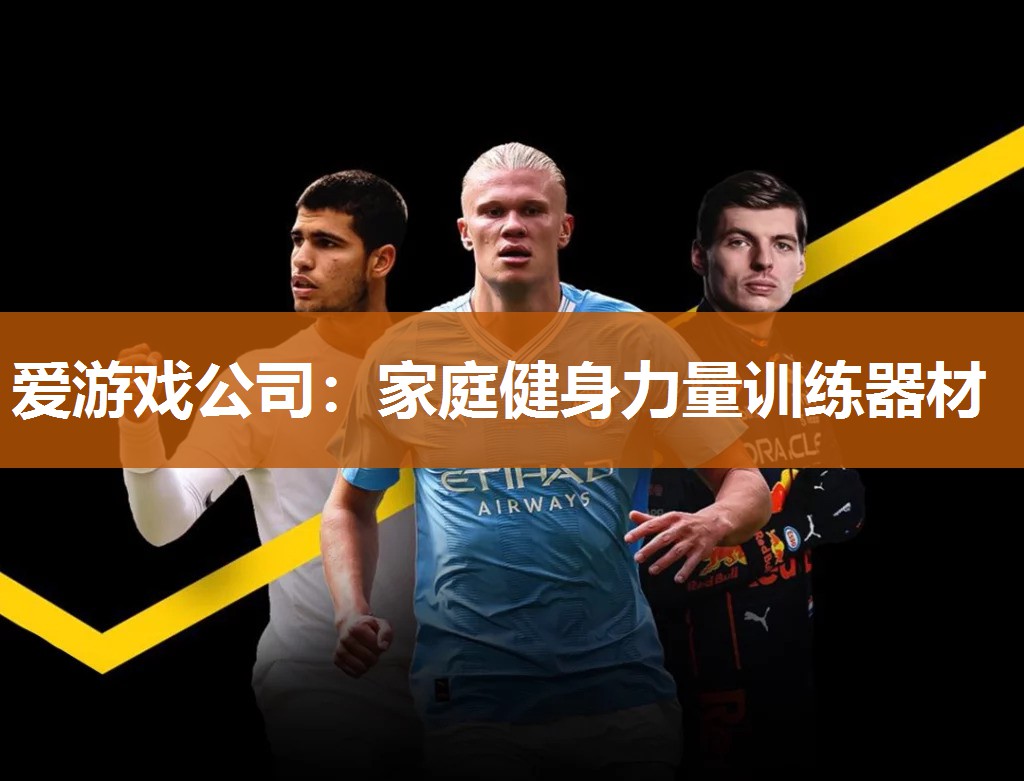 爱游戏公司：家庭健身力量训练器材