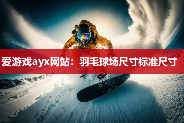 爱游戏ayx网站：羽毛球场尺寸标准尺寸
