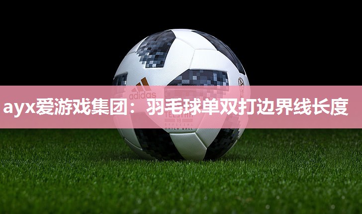 ayx爱游戏集团：羽毛球单双打边界线长度