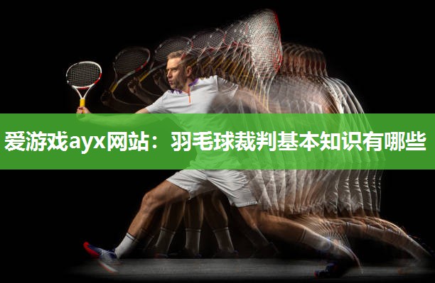 爱游戏ayx网站：羽毛球裁判基本知识有哪些