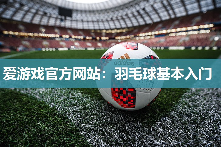 爱游戏官方网站：羽毛球基本入门