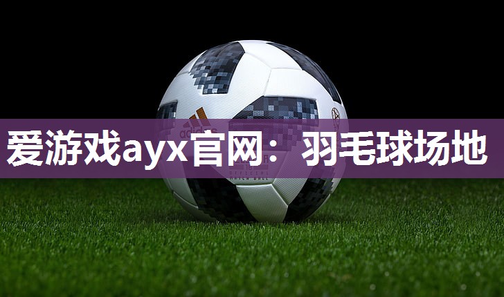 爱游戏ayx官网：羽毛球场地
