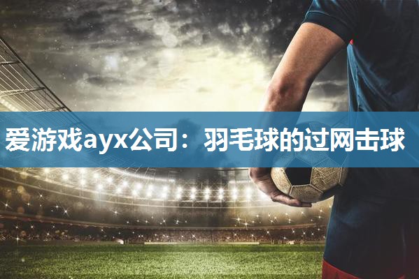 爱游戏ayx公司：羽毛球的过网击球