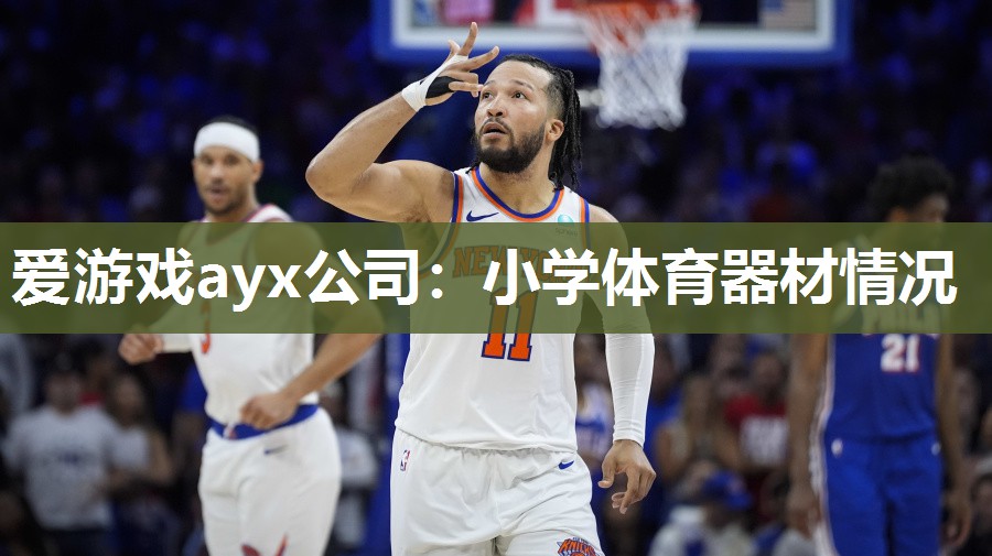 爱游戏ayx公司：小学体育器材情况