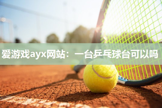 一台乒乓球台可以吗