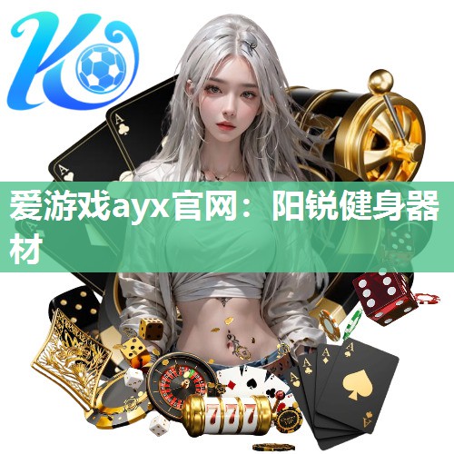 阳锐健身器材
