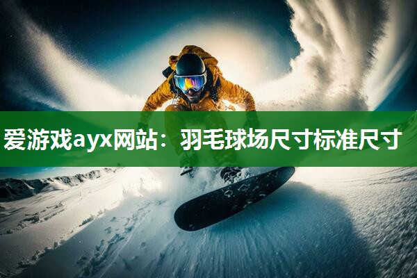 羽毛球场尺寸标准尺寸