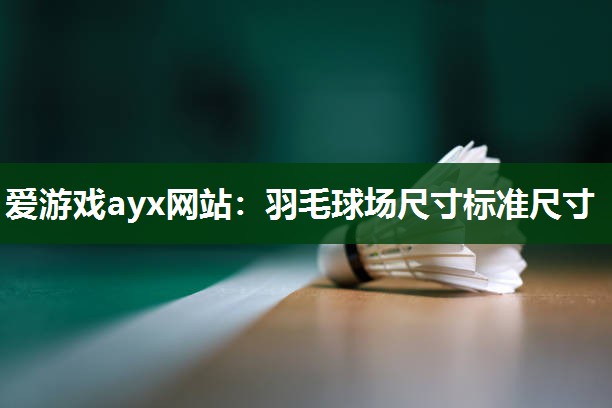 羽毛球场尺寸标准尺寸