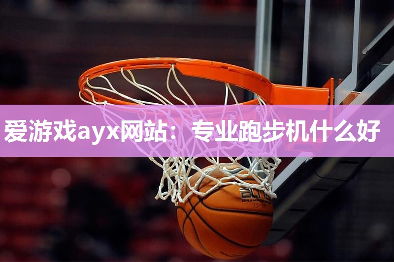 专业跑步机什么好