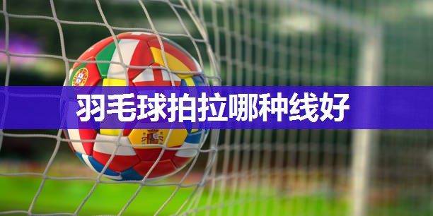 羽毛球拍拉哪种线好
