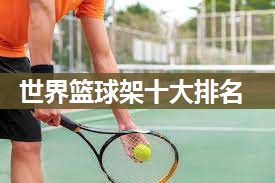 世界篮球架十大排名
