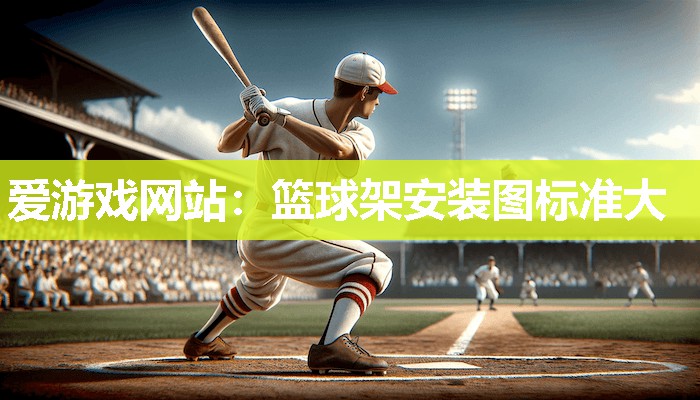 篮球架安装图标准大