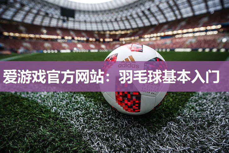 羽毛球基本入门