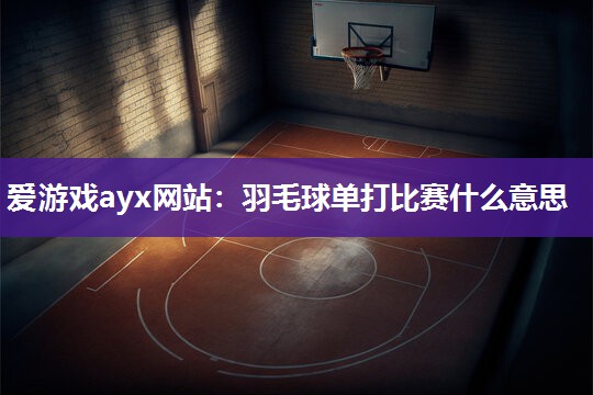 羽毛球单打比赛什么意思