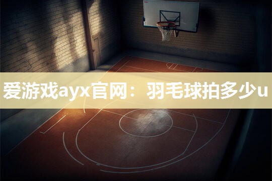 羽毛球拍多少u