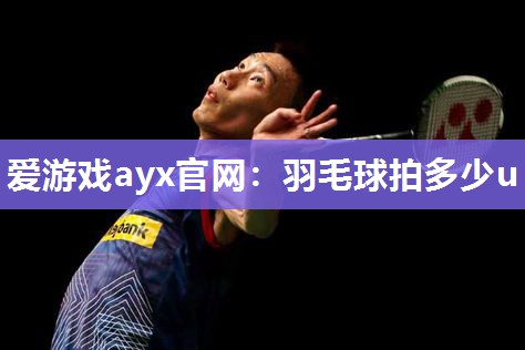羽毛球拍多少u
