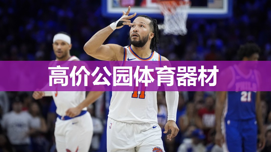 高价公园体育器材